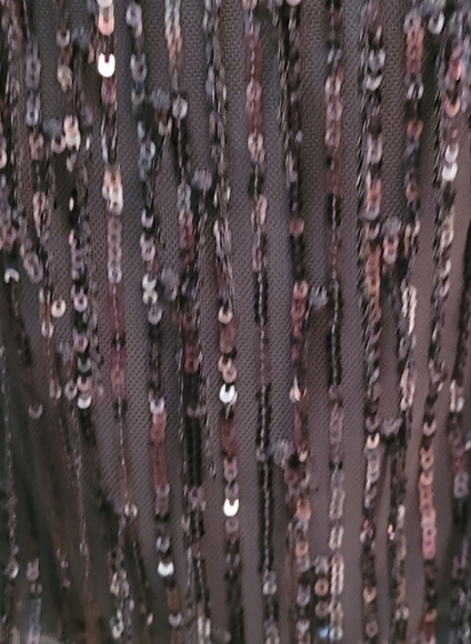 Wild Fable sequin fringe stretch lace strapless dress - Picture 13 of 16